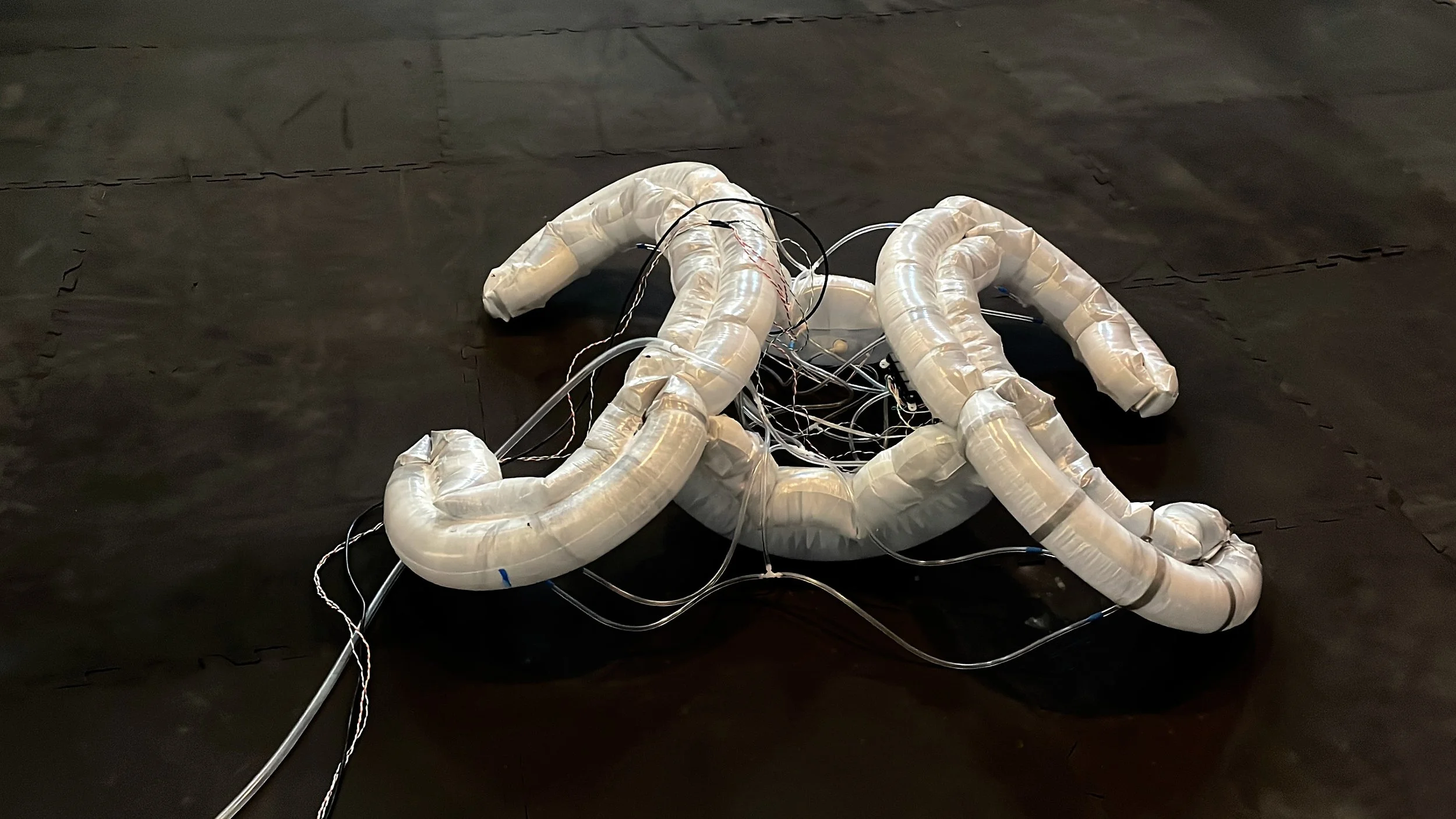 Dual Pneumas — Chico MacMurtrie